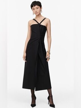 S. Zara limited edition Dress